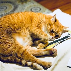 Meet your Posher, Michael